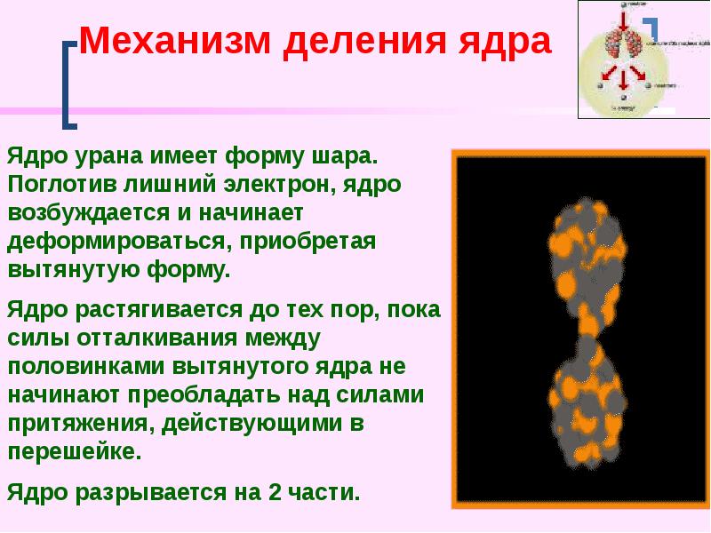 Механизм деления ядра Механизм деления ядра
