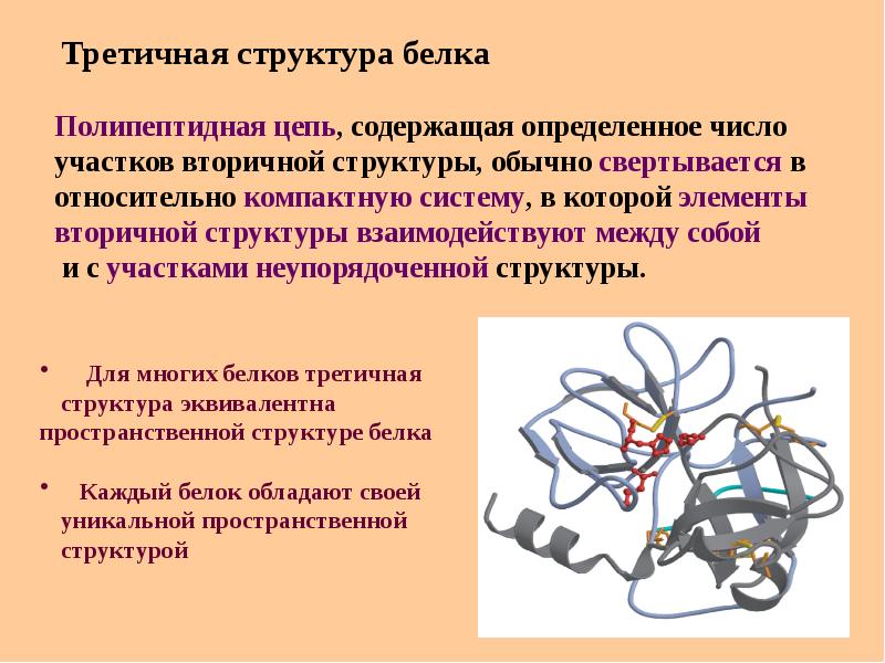 2 структура белка. Третичная структура структура белка. Трехмерная структура белка. Третичная структура белка. Связи стабилизирующие третичную структуру белка.