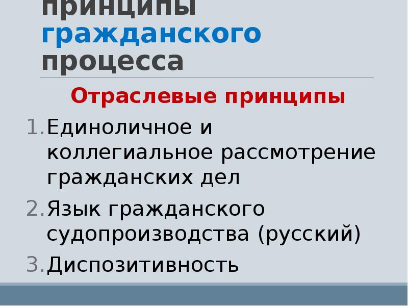 Язык гражданского процесса. Отраслевые принципы гражданского процесса. Язык гражданского судопроизводства. Принцип государственного языка в гражданском процессе. Принцип языка гражданского судопроизводства.