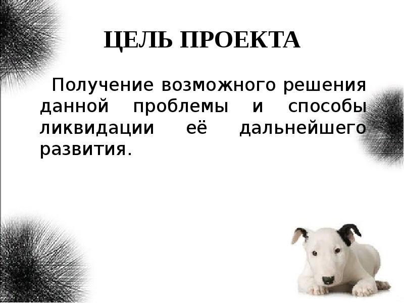 В которой возможно будет получить. Презентация груминг.