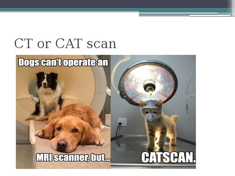 CT or CAT scan CT or CAT scan