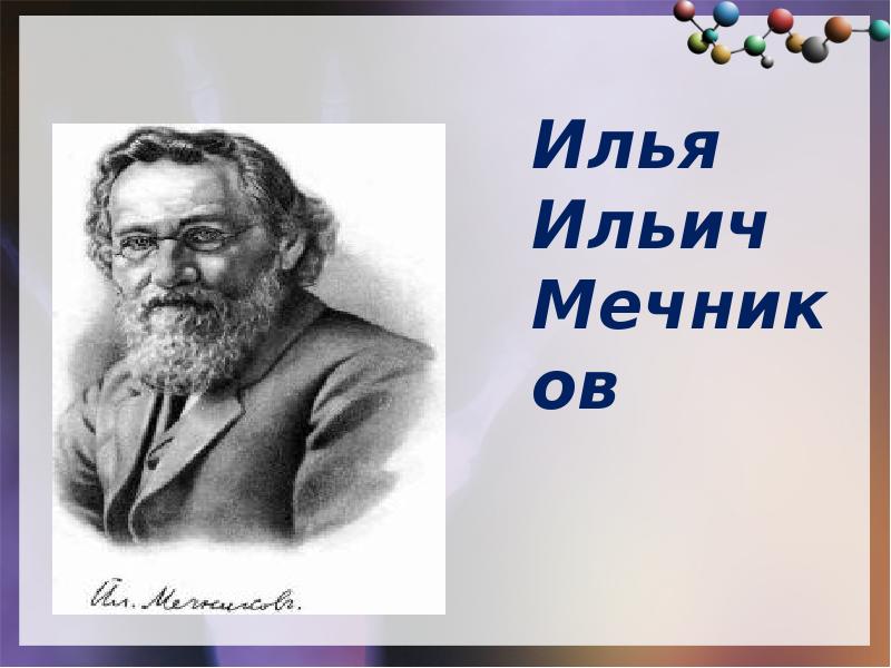 Илья ильич мечников презентация