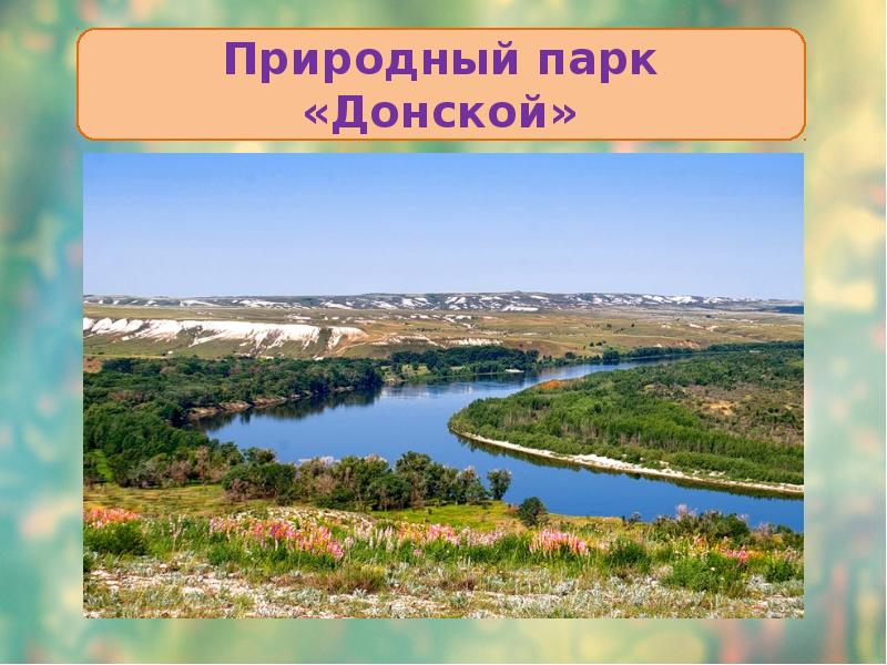 Природная зона города волгограда. Донской заповедник Волгоградская область. Природный парк Донской Волгоградская область карта.