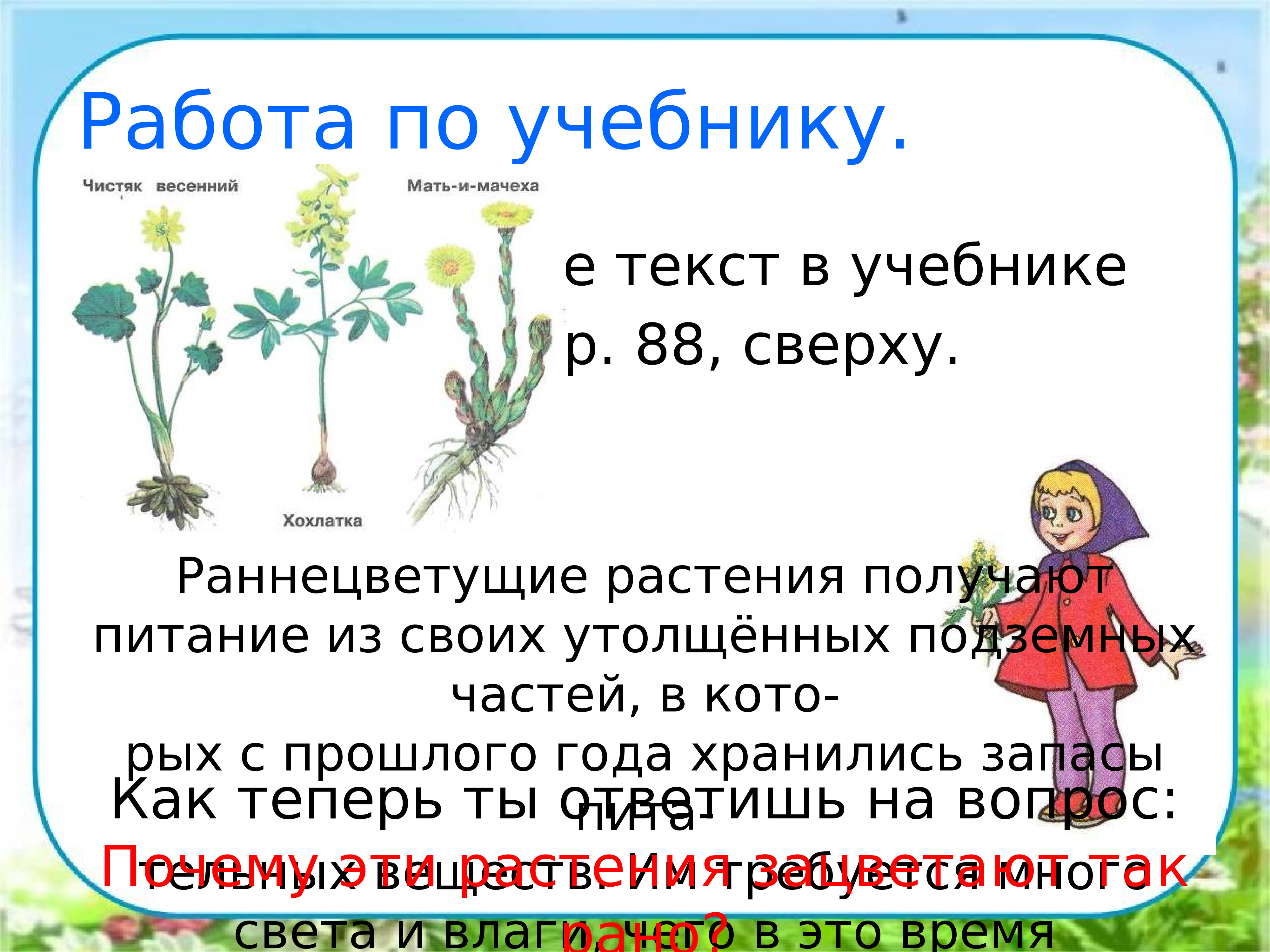 Чтение стихотворения в лесу над росистой поляной