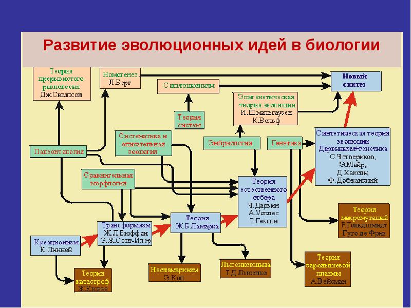 Эволюция органического мира презентация