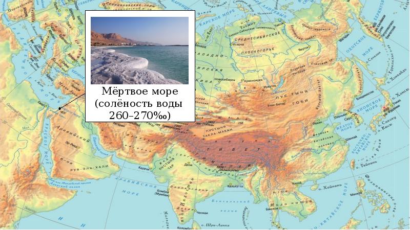 Мертвое море карта евразии