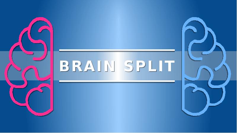 Split brain. Split POWERPOINT. Split-Brain DNS.
