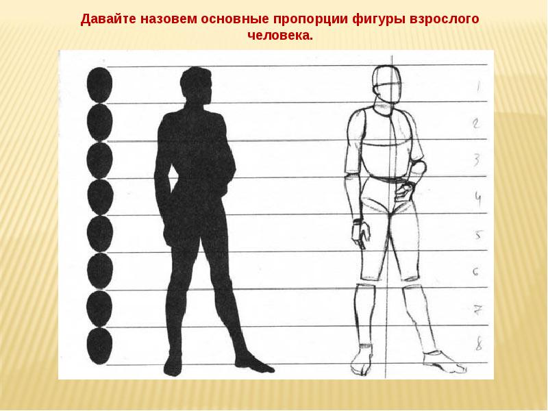 Рост человека картинки для презентации