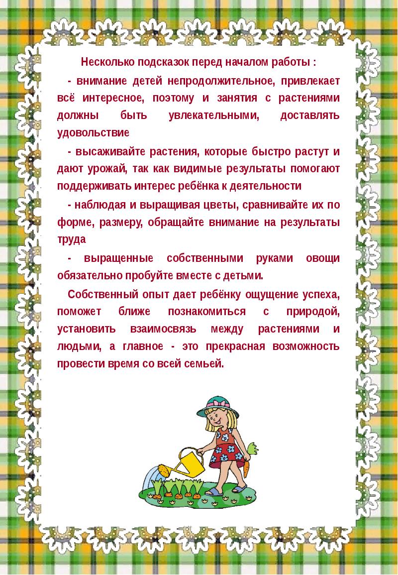 План организации труда детей на огороде