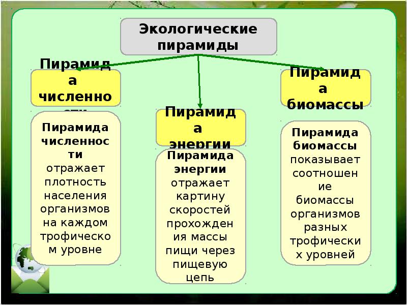 Экологическое сообщество презентация