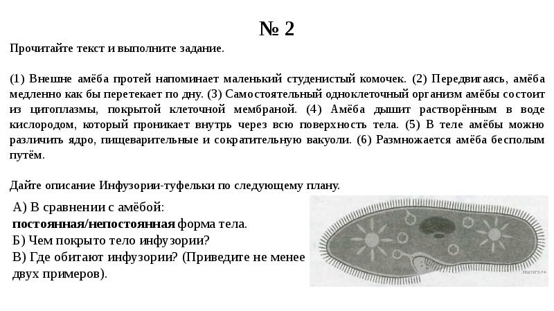 Впр 5 класс презентация