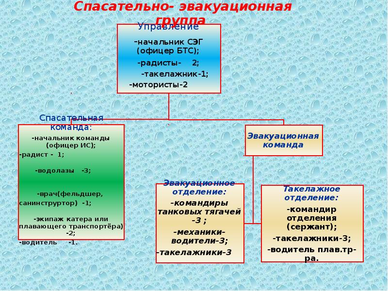 Структурная схема эвакуационной комиссии в организации