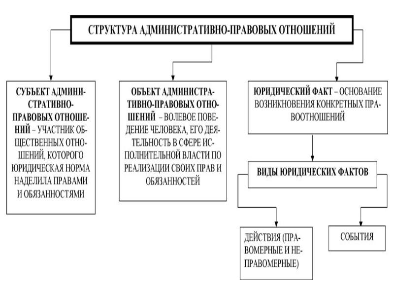 Административные правонарушения проект