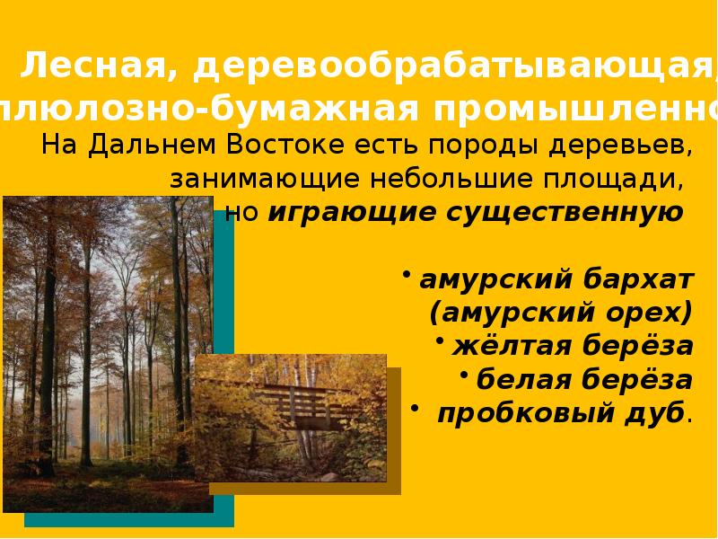 Сельское хозяйство дальнего востока кратко. Хозяйство дальнего Востока презентация. Презентация транспорт дальнего Востока. Отрасли сельского хозяйства дальнего Востока. Сельское хозяйство и транспорт дальнего Востока.