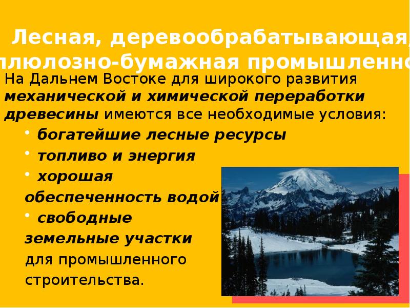 Промышленность дальнего востока презентация