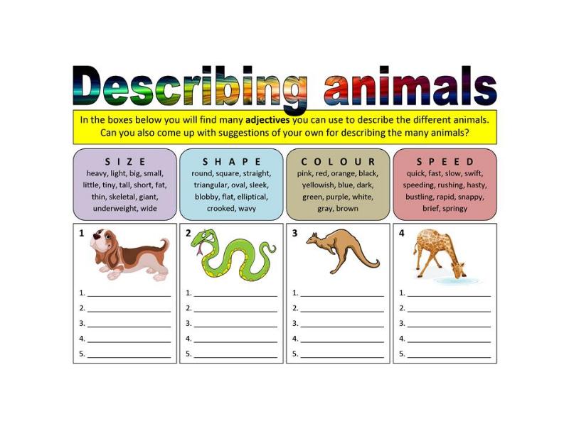 She like animals. Worksheets 2 класс животные. Таблица can can't. Animals Worksheets for Kids 2 класс. Animals 4 класс.