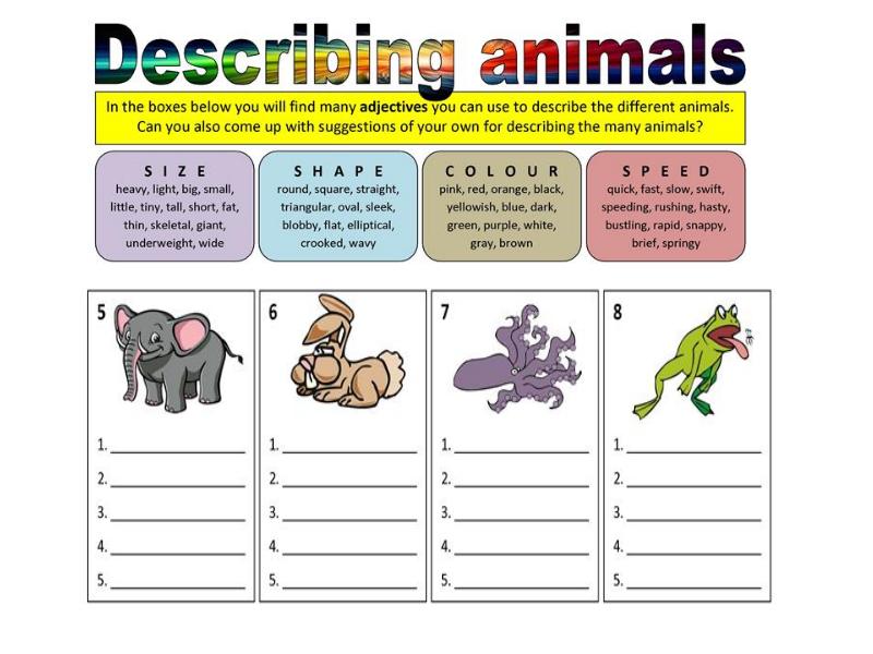 Compare animals. Comparison of adjectives Worksheets. Describe animals Worksheet. Comparative adjectives animals. Животное present simple.