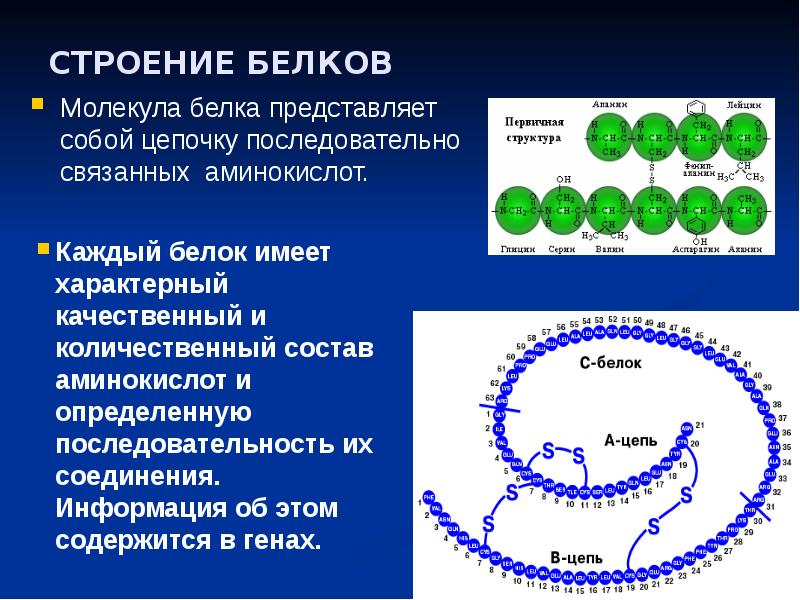 Молекула представляет собой. Строение простых белков. Строение белковых молекул кратко. Строение белковых молекул. Структуры белка.