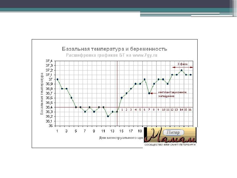 Сколько температура при беременности. График базальной температуры с расшифровкой. Расшифровка Графика базальной температуры. График базальной температуры беременной. Графики базальной температуры с примерами и расшифровкой.