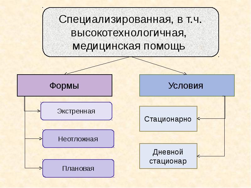 Презентация специализированная медицинская помощь