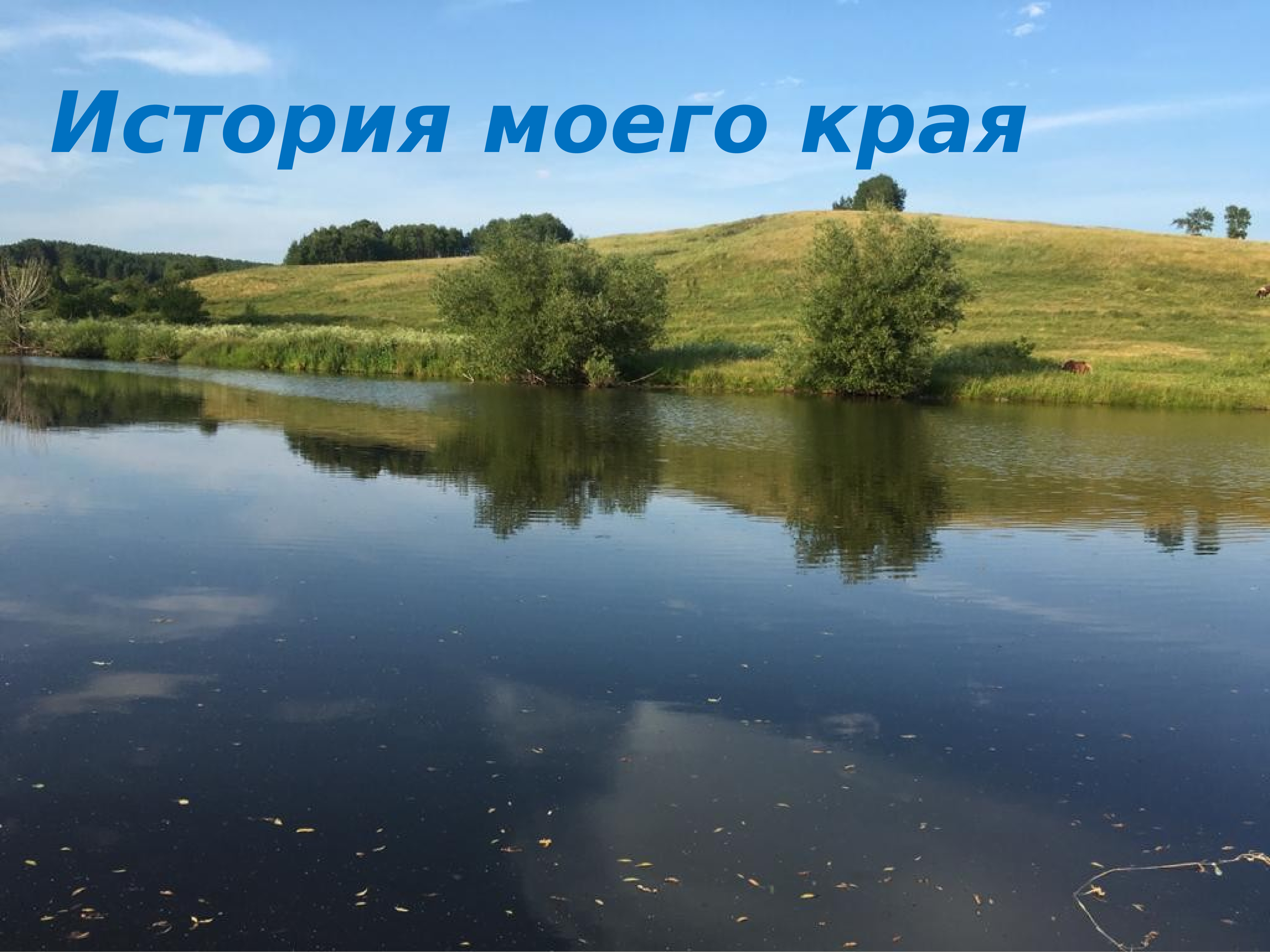 Проект мой край