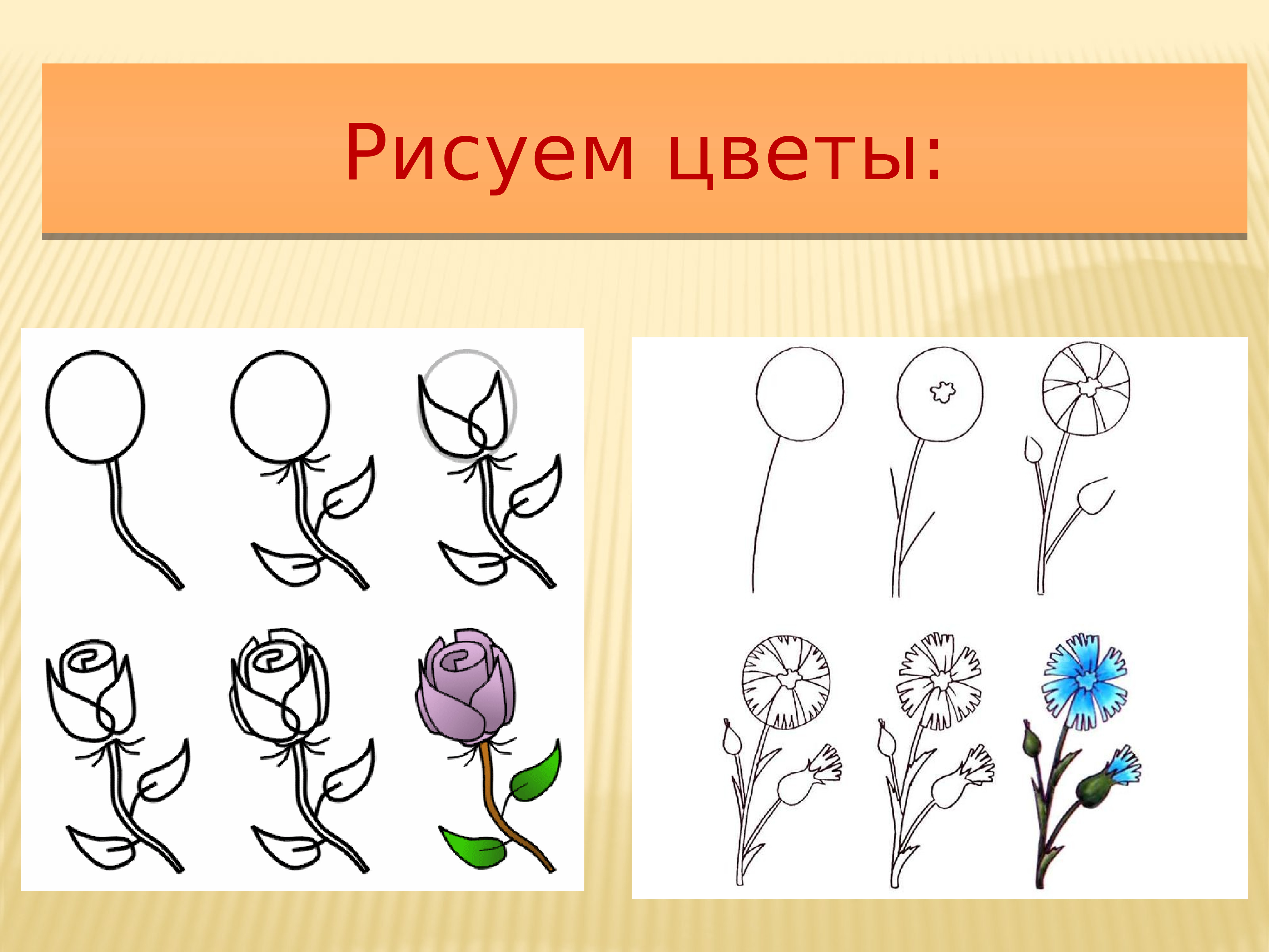Названия рисования. Рисунки цветов. Поэтапное рисование растений. Нарисовать цветы. Как нарисовать цветы поэтапно.