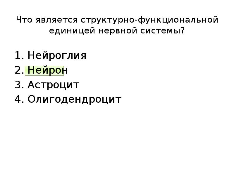 Что является структурно функциональной единицей нервной системы