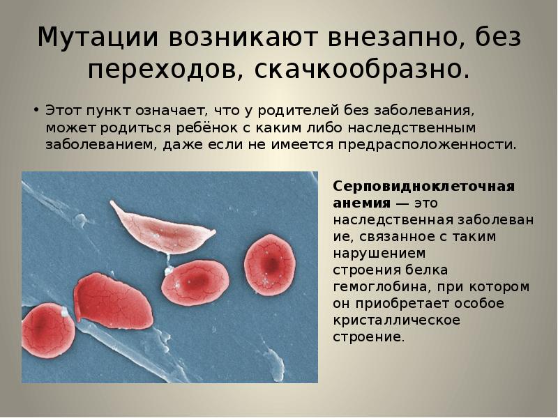 Мутации происходящие в половых клетках называются