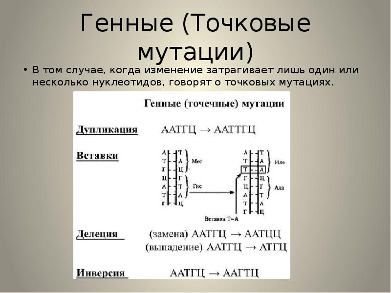 Проект про мутации