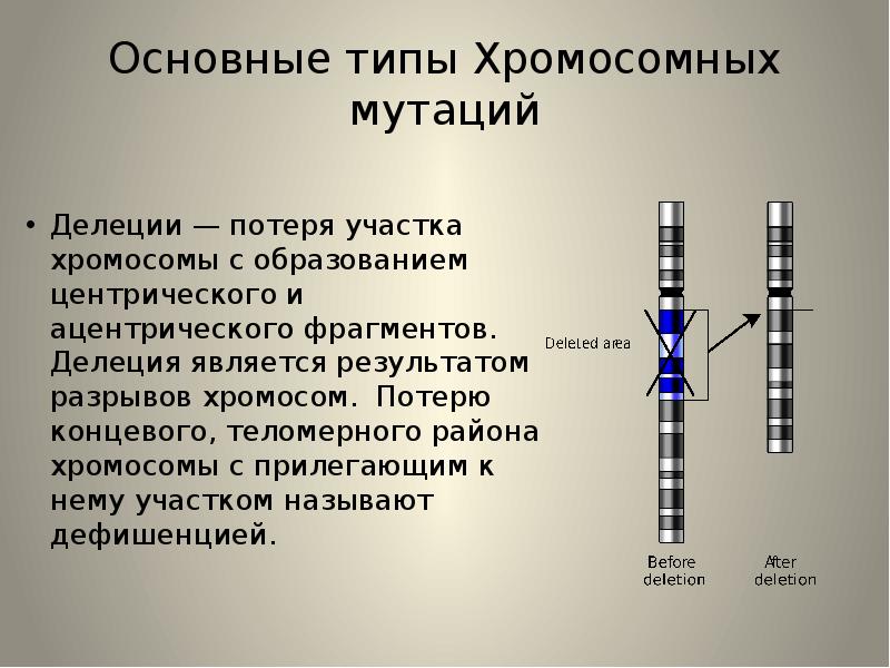 Дупликация транслокация