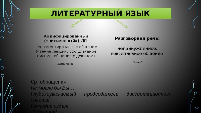 Языковые единицы находящиеся за рамками литературного языка презентация