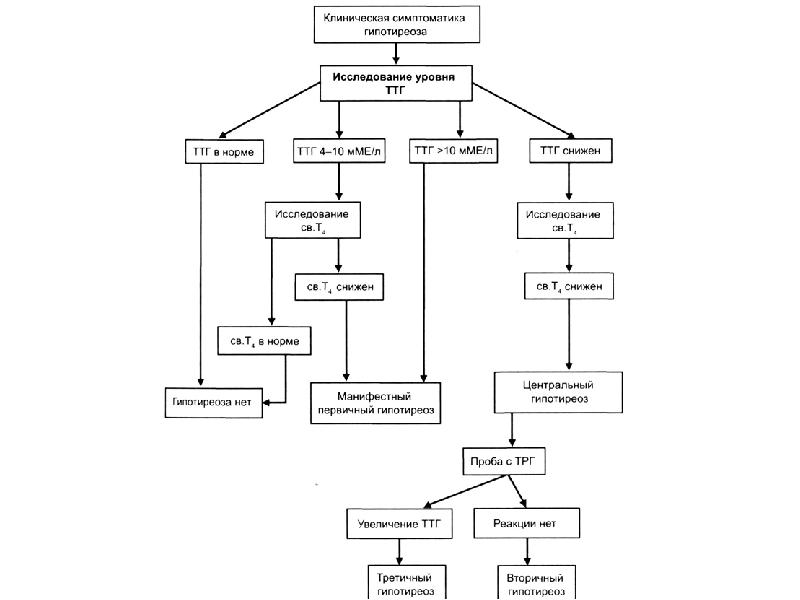 Патогенез гипотиреоза схема