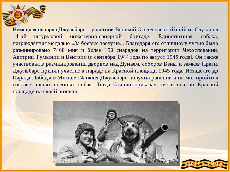 Роль животных во время великой отечественной войны презентация