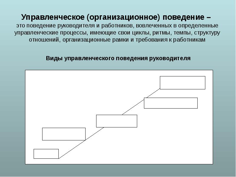 Организационные рамки проекта