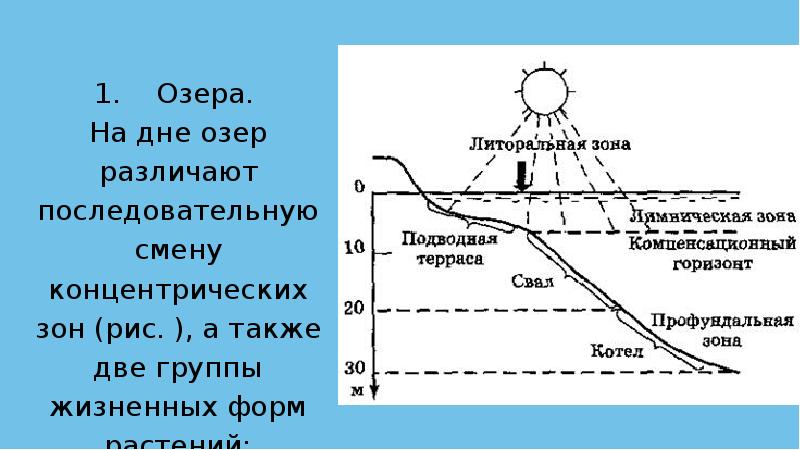 Морской воздух умеренных широт. Как выглядит экосистема моря Южной широты.