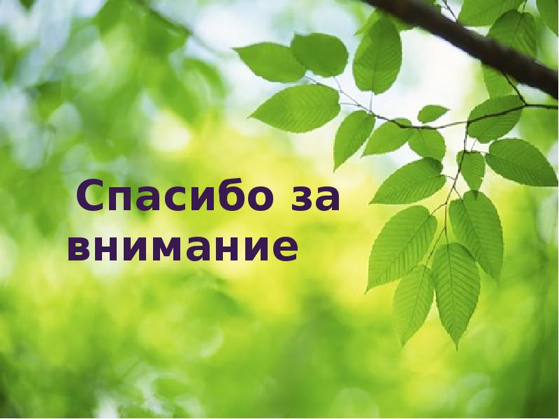 Весна красна презентация