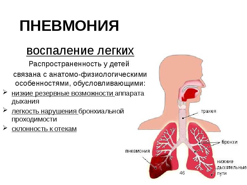 Проект заболевания органов дыхания