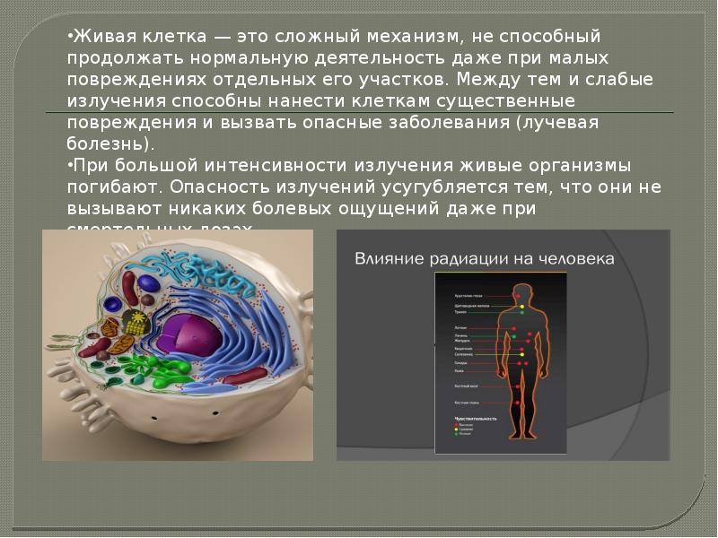 Презентация атомная энергетика биологическое действие радиации