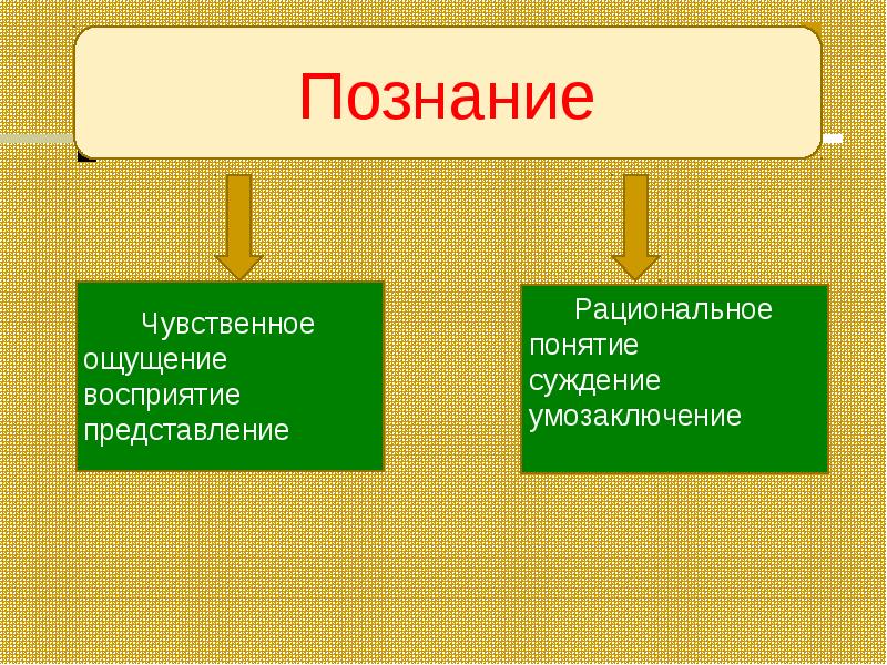 Чувственное познание картинки