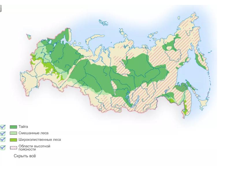 Карта россии с лесами