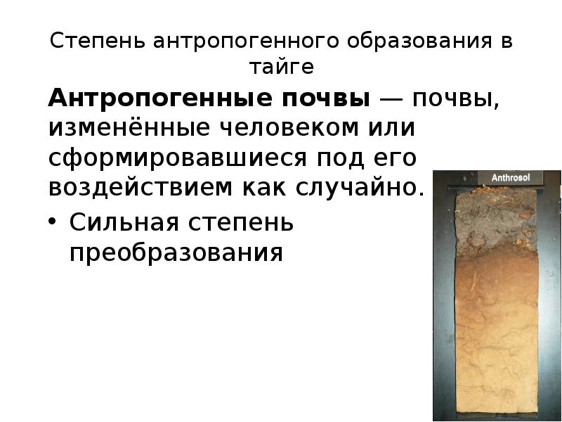Степень антропогенного образования в тайге
Антропогенные почвы — почвы, изменённые человеком или сформировавшиеся Степень антропогенного образования в тайге
Антропогенные почвы — почвы, изменённые человеком или сформировавшиеся