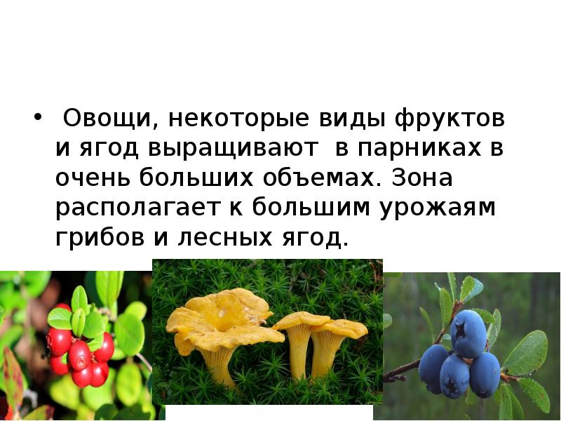 Овощи, некоторые виды фруктов и ягод выращивают в парниках в очень Овощи, некоторые виды фруктов и ягод выращивают в парниках в очень