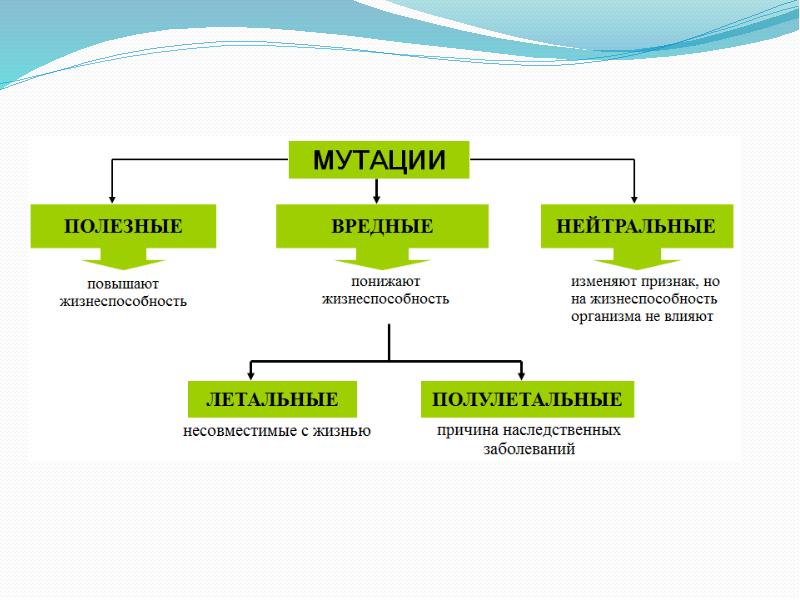 Мутагены картинки для презентации