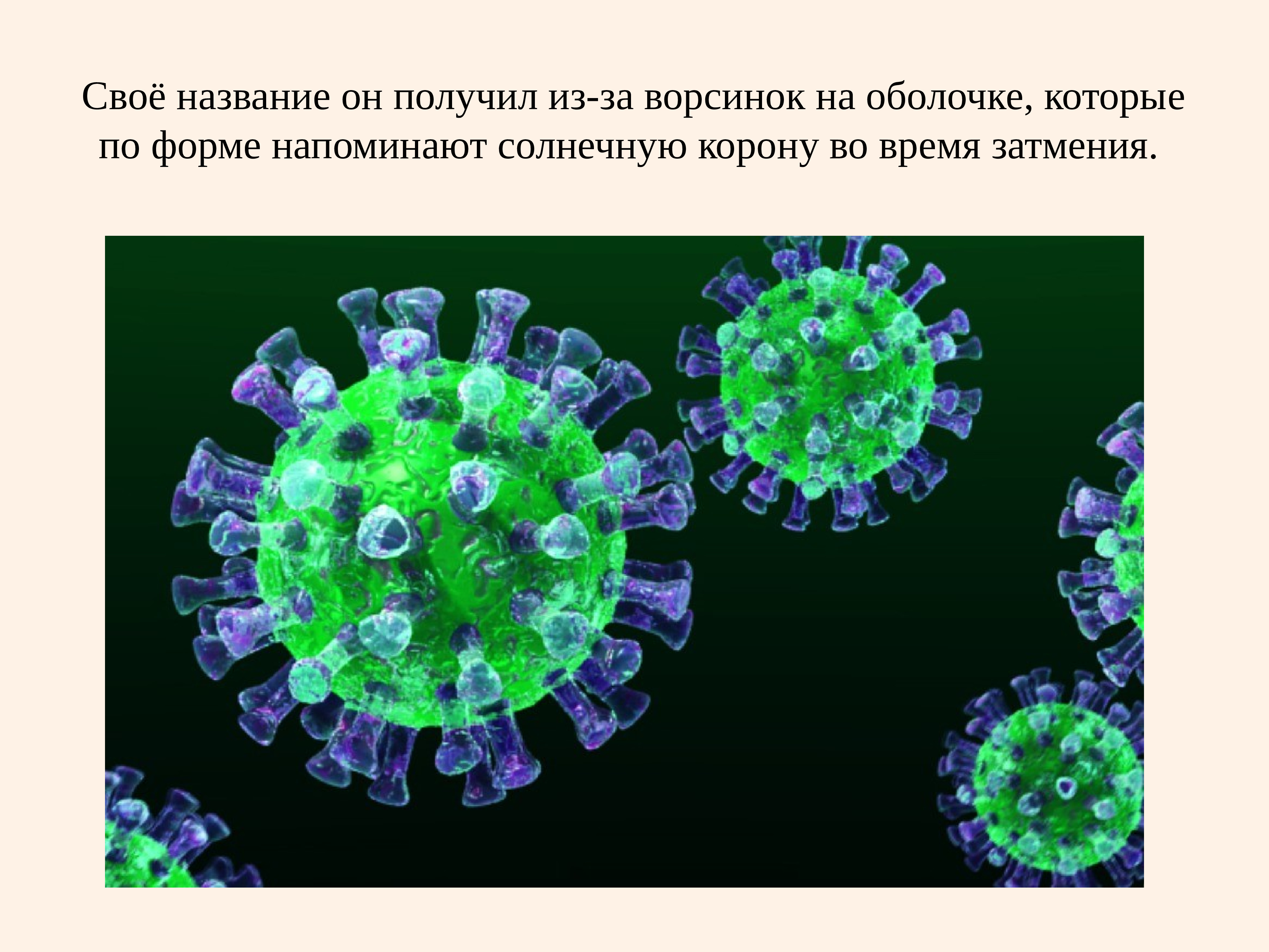 Ученые коронавирусе