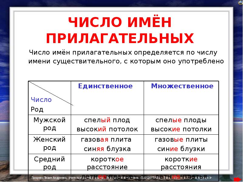 Солнце в каком числе употребляется