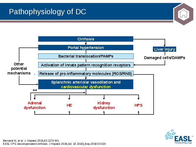 Pathophysiology of DC
Bernardi M, et al. J. Hepatol 2015;63:1272–84; EASL Pathophysiology of DC
Bernardi M, et al. J. Hepatol 2015;63:1272–84; EASL