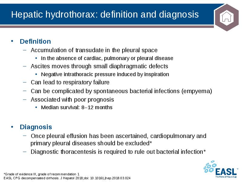 Hepatic hydrothorax: definition and diagnosis
*Grade of evidence III, grade of Hepatic hydrothorax: definition and diagnosis
*Grade of evidence III, grade of