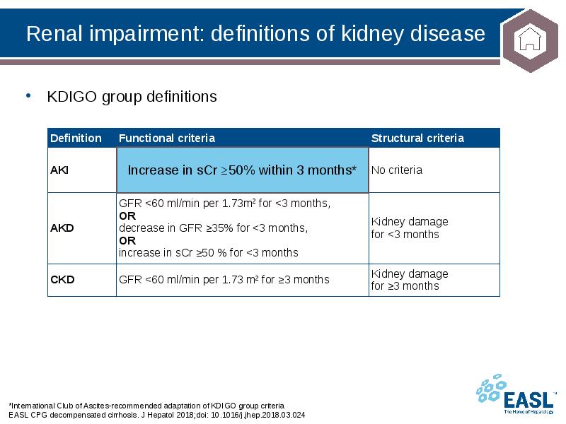 Renal impairment: definitions of kidney disease
*International Club of Ascites-recommended adaptation Renal impairment: definitions of kidney disease
*International Club of Ascites-recommended adaptation