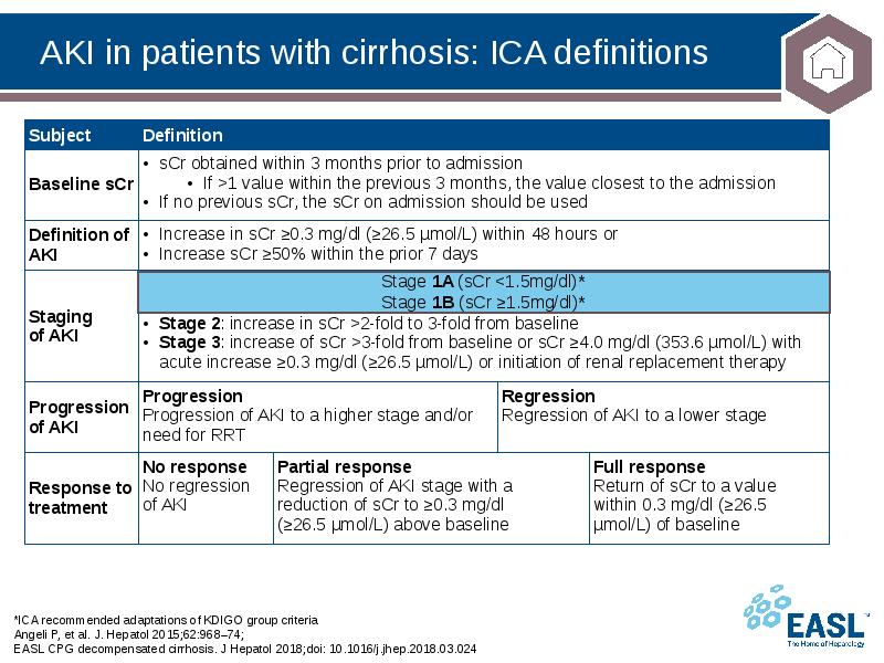 AKI in patients with cirrhosis: ICA definitions
*ICA recommended adaptations of AKI in patients with cirrhosis: ICA definitions
*ICA recommended adaptations of