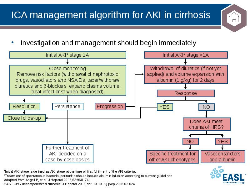 ICA management algorithm for AKI in cirrhosis
*Initial AKI stage is ICA management algorithm for AKI in cirrhosis
*Initial AKI stage is